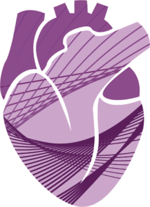 heart icon 3@3x