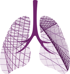 lungs@3x